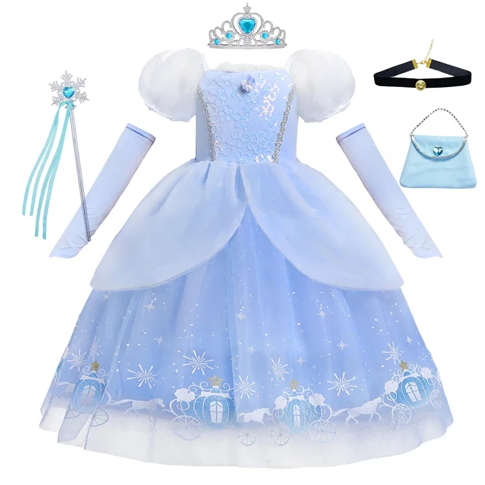 Cinderella Princess Cosplay Dr - Summer Clothing Gifts 评论和价格