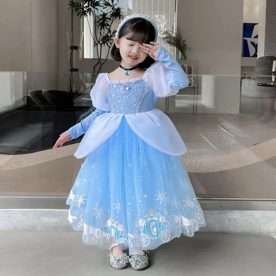 Cinderella Princess Cosplay Dr - Summer Clothing Gifts 评论和价格