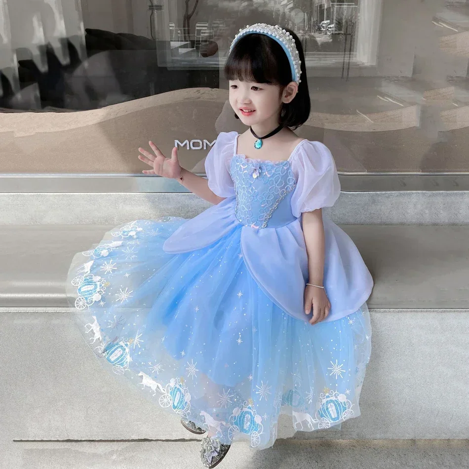 Cinderella Princess Cosplay Dr - Summer Clothing Gifts 评论和价格