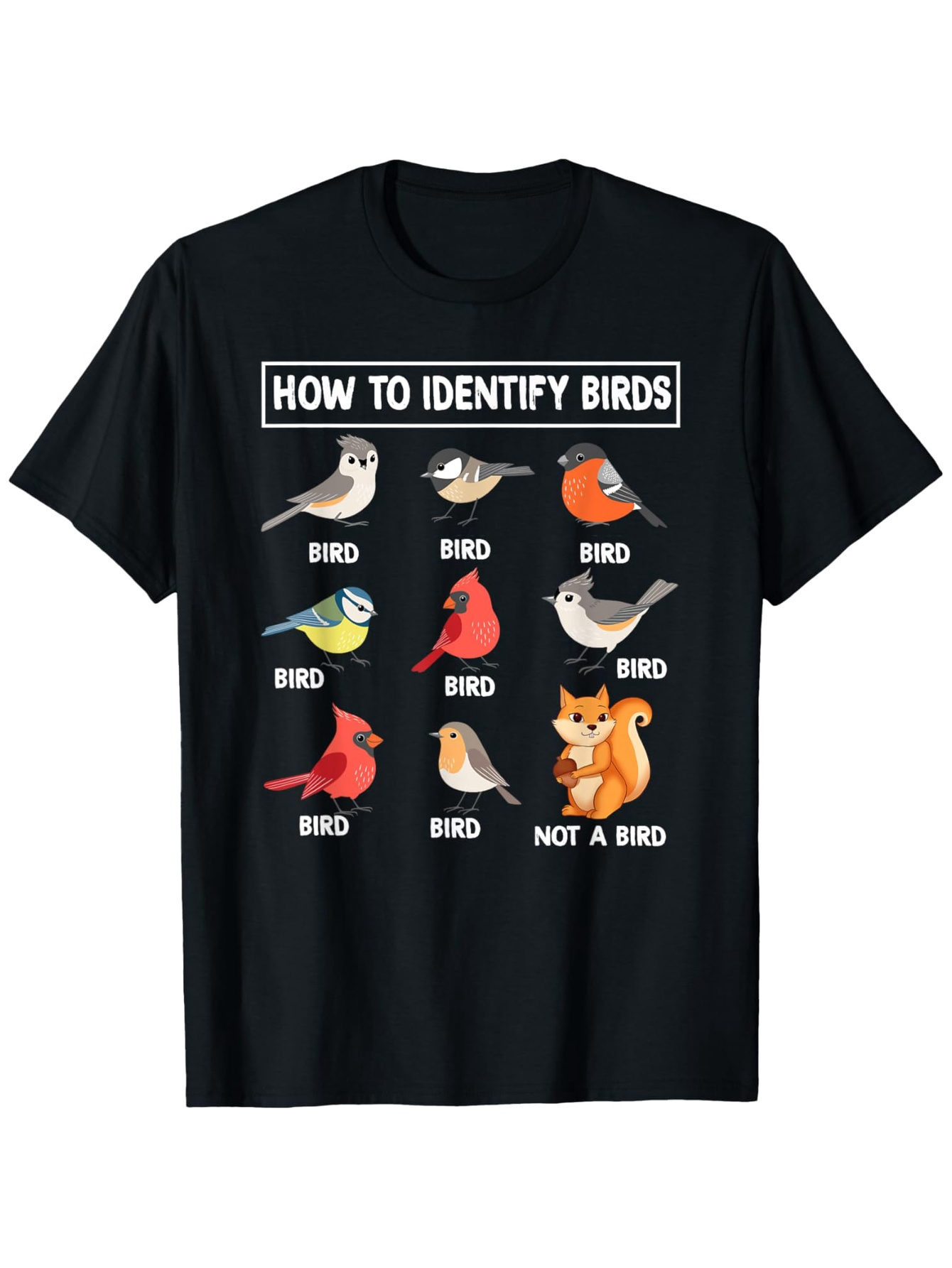 How To Identify Birds, Non-bir - Summer Clothing Pictures 评论和价格