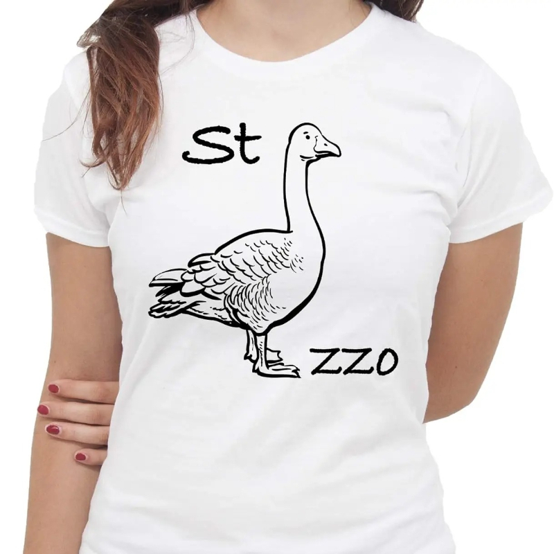 IMage Goose Rebus T-Shirt Funn - Summer Clothing Images 评论和价格